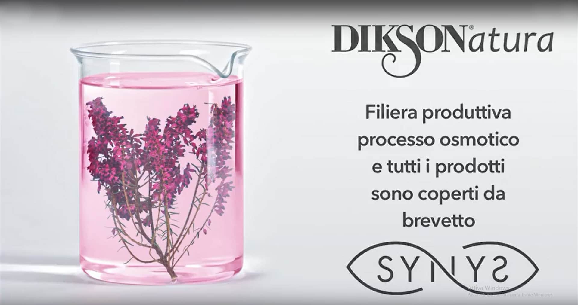 Gruppo Klem presenta: Diksonatura