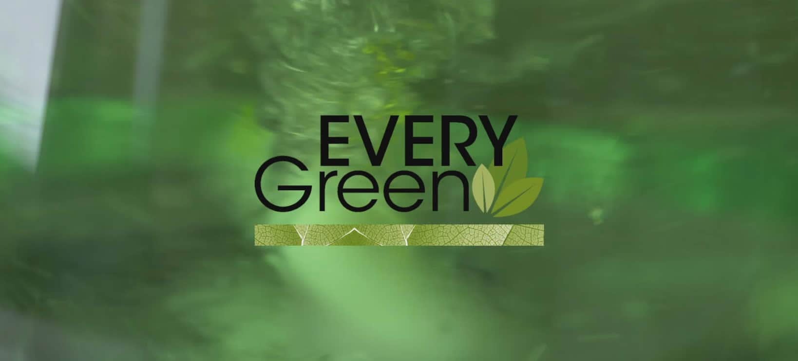 Novità!  – EveryGreen Color e SUN Hair-Care